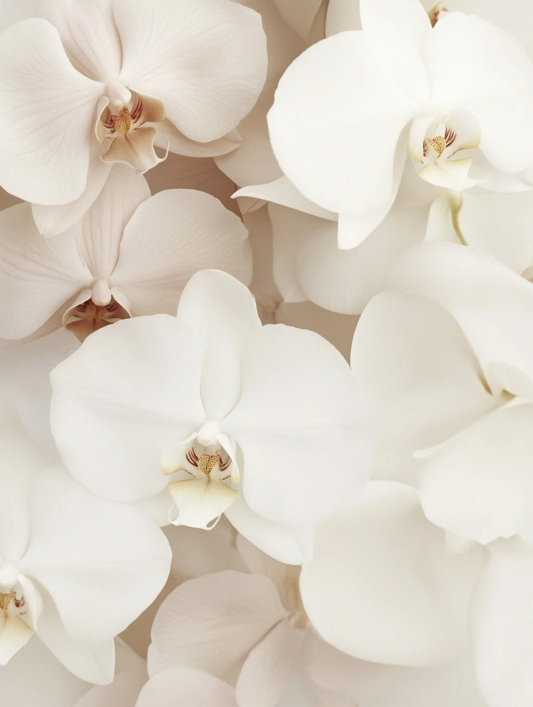 Normas ISO para la gestión de sistemas de IA